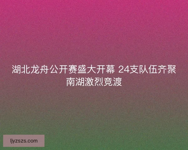 湖北龙舟公开赛盛大开幕 24支队伍齐聚南湖激烈竞渡
